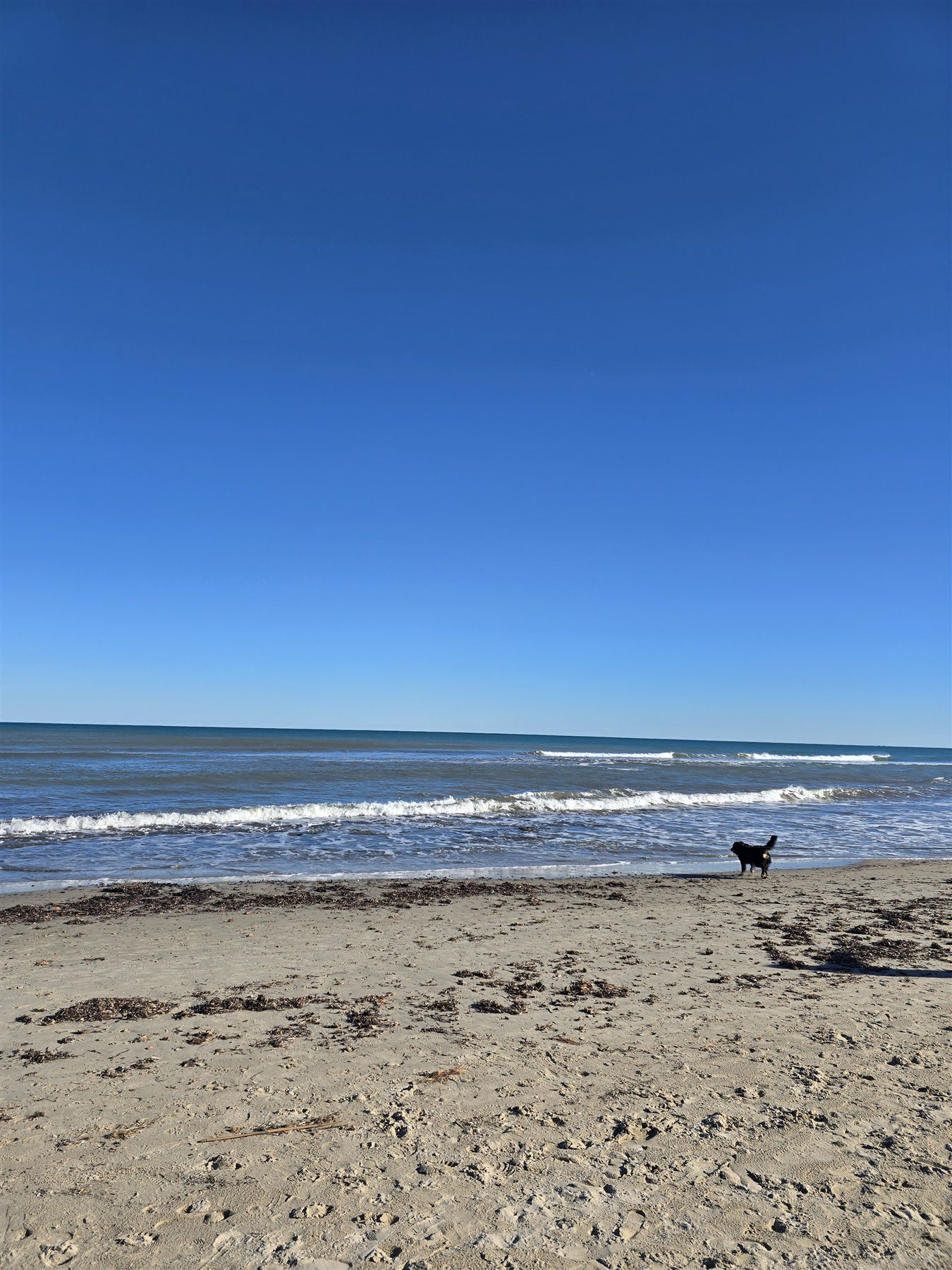 Feinsandiger Strand