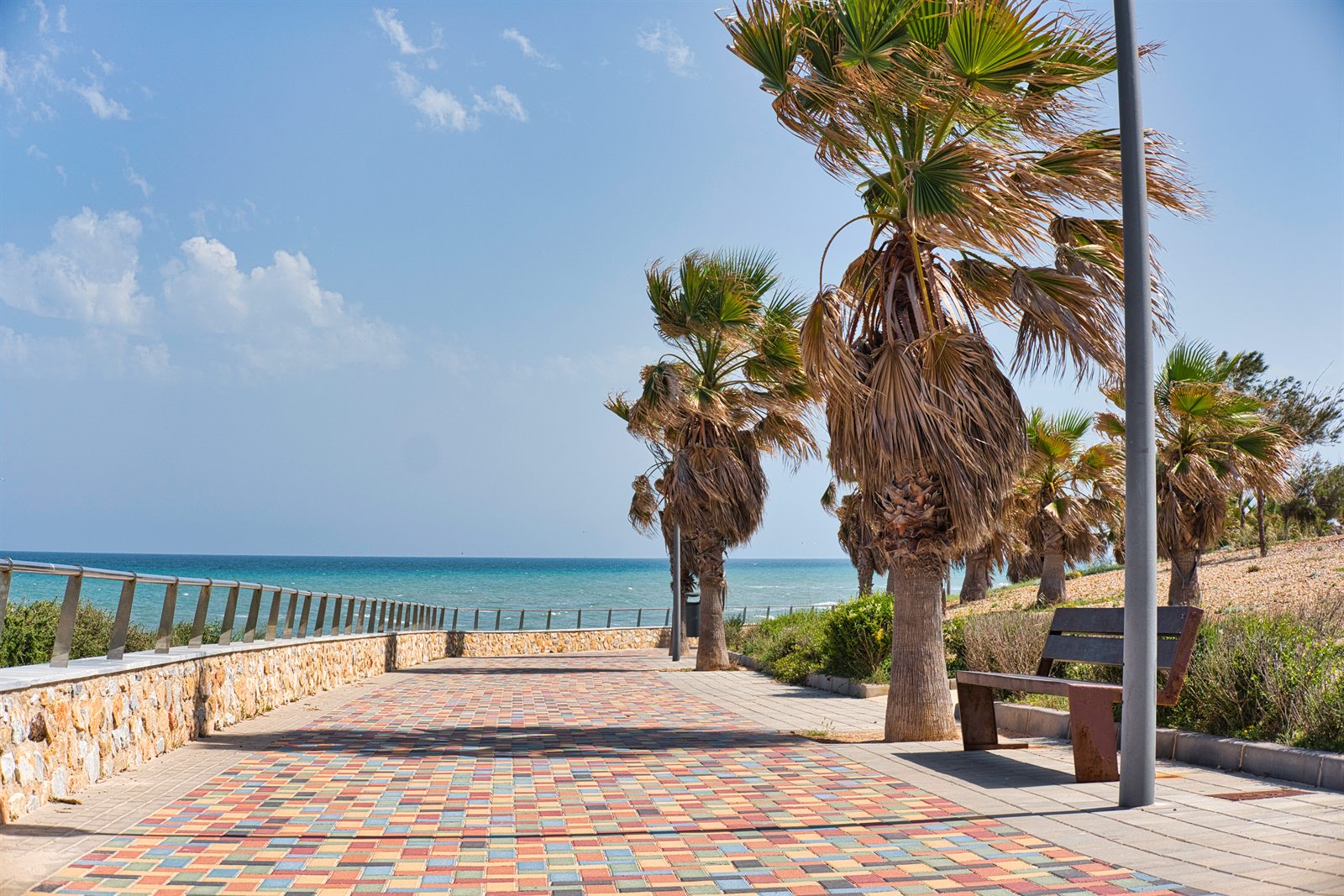 Palmen-Promenade am Meer